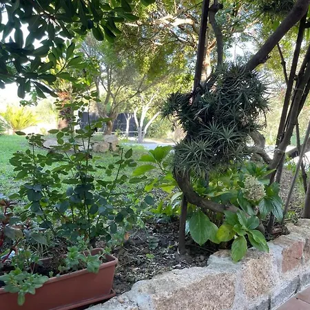 לינה וארוחת בוקר Bent'e Mari *